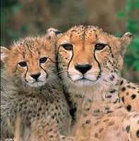 The South African Explorer Tour The South African Explorer Tour